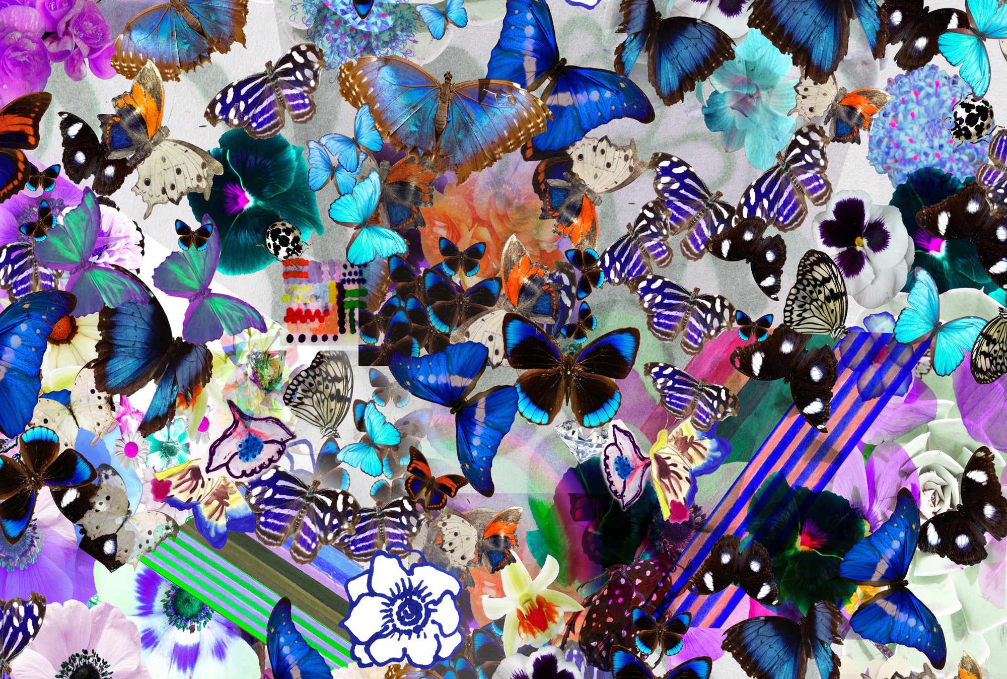 Butterfly Collage Framed Art Print