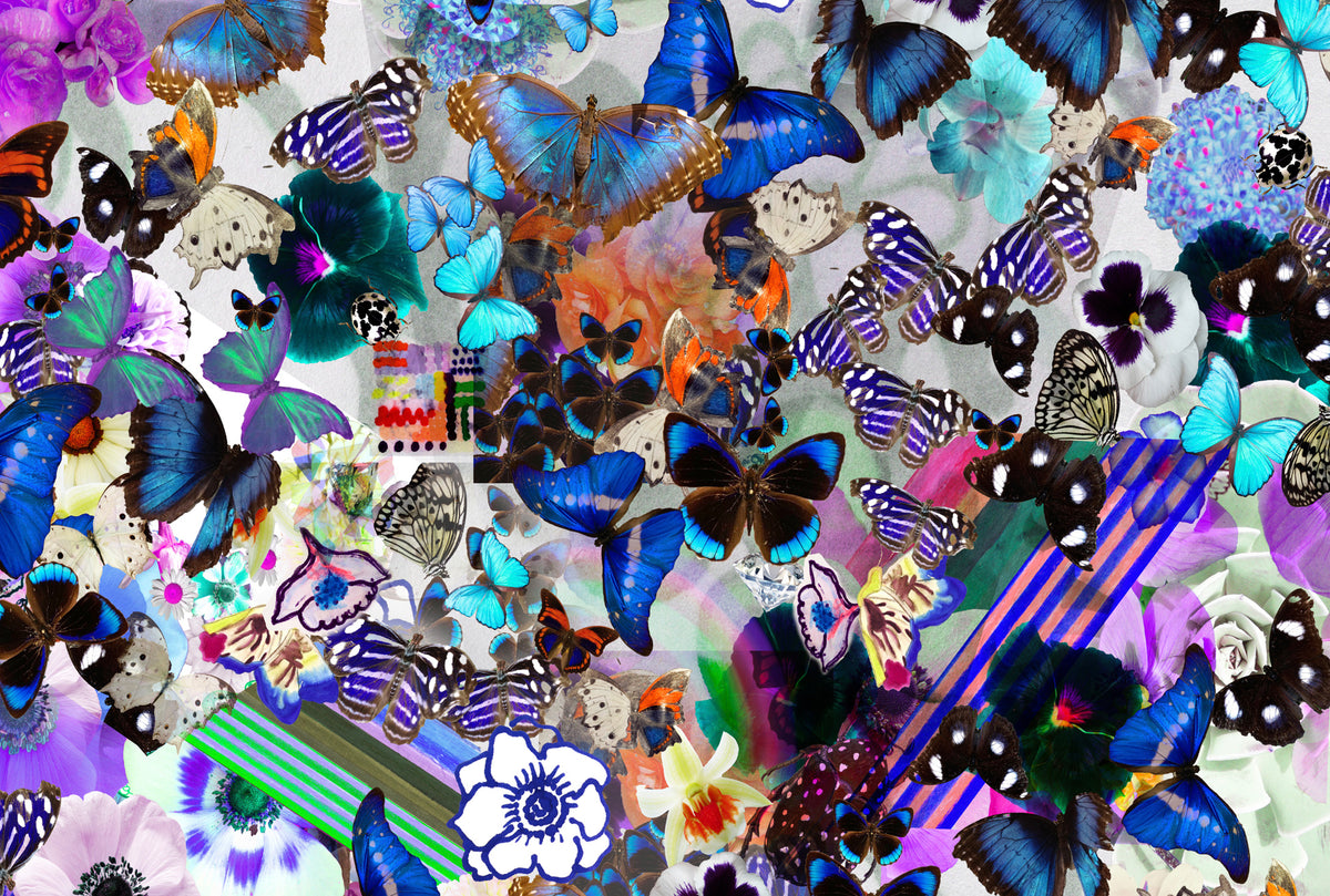 Butterfly Collage Framed Art Print