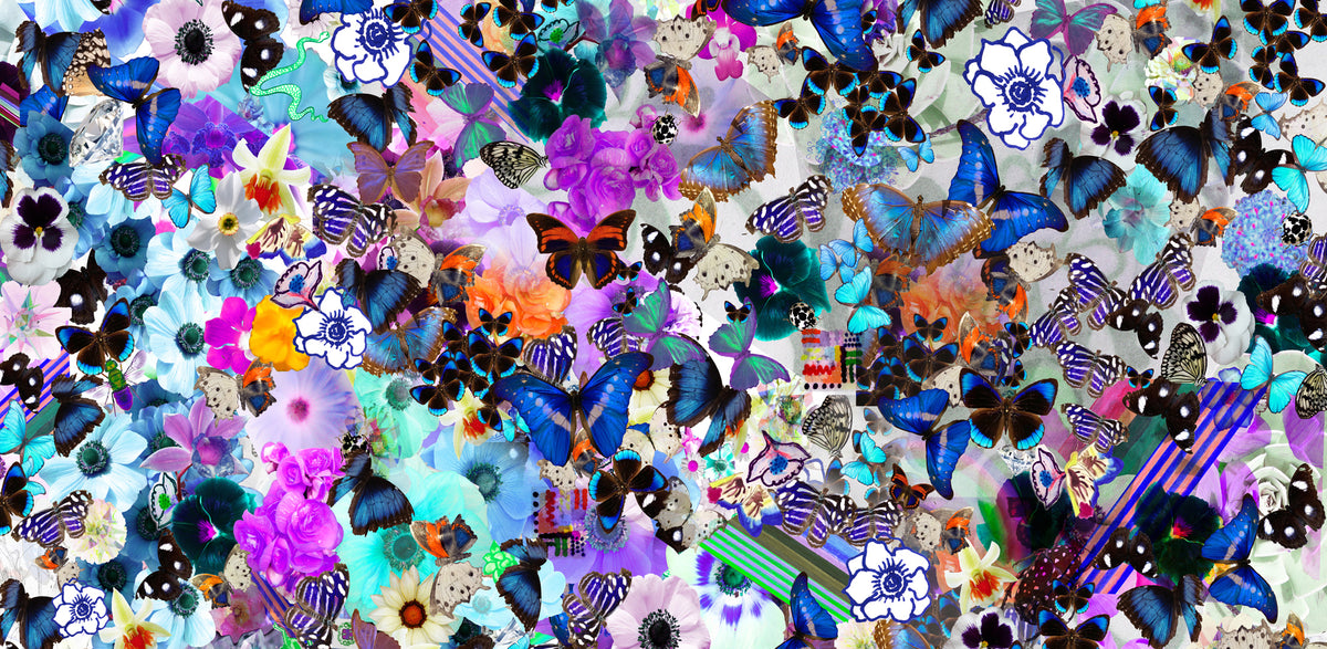 Butterfly Collage Framed Art Print