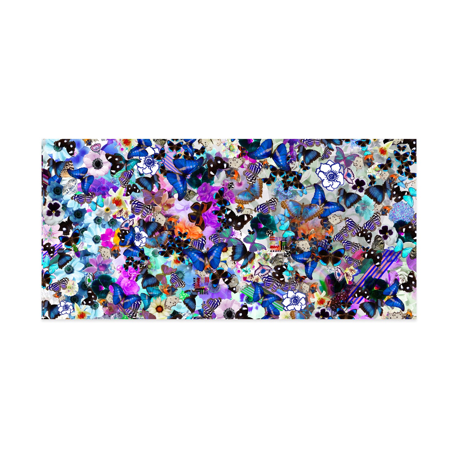 Butterfly Collage Framed Art Print