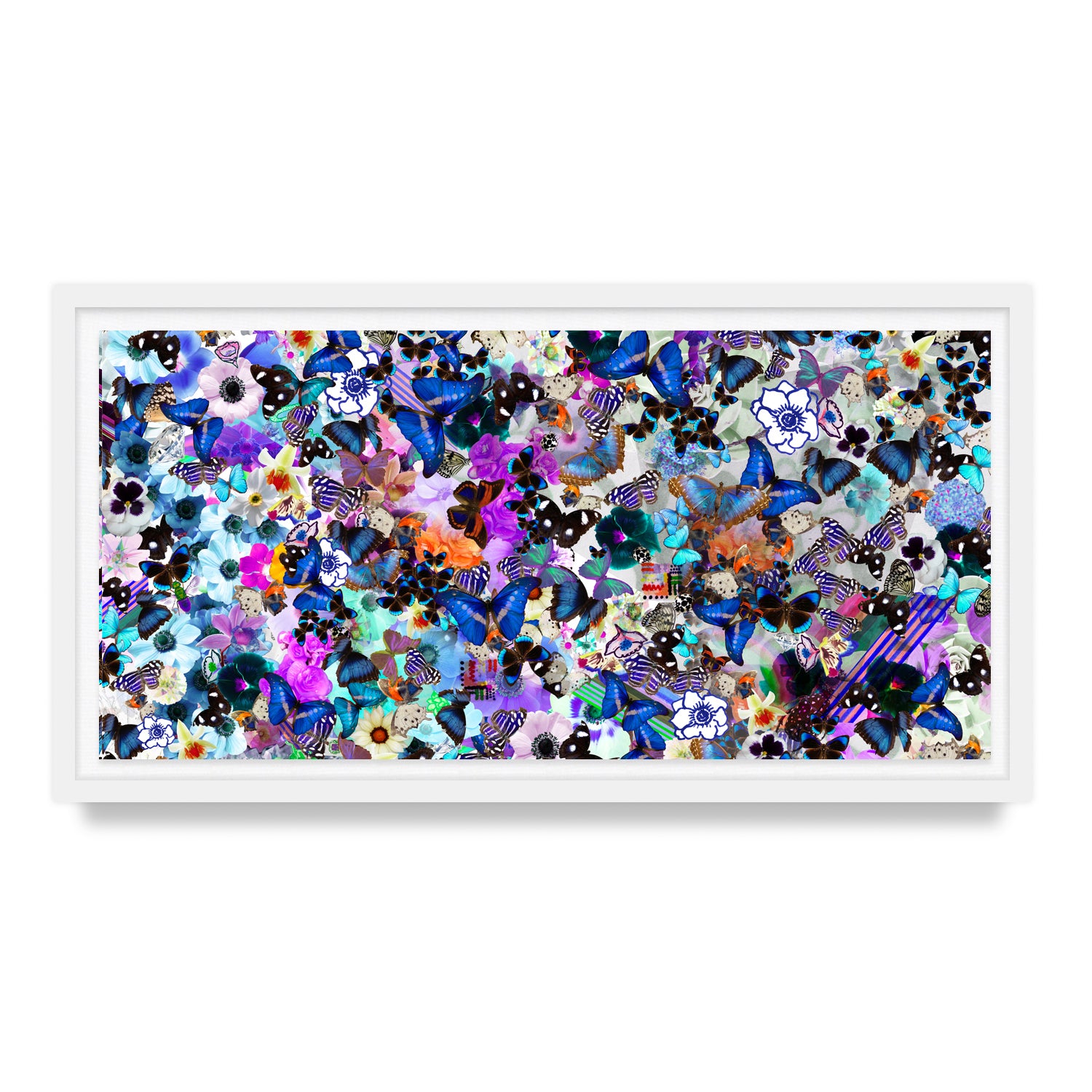 Butterfly Collage Framed Art Print