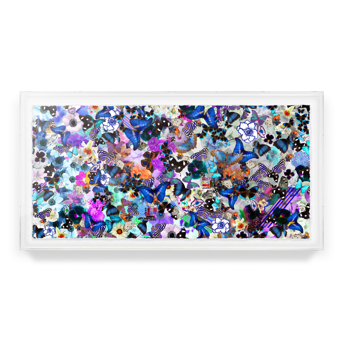 Butterfly Collage Framed Art Print