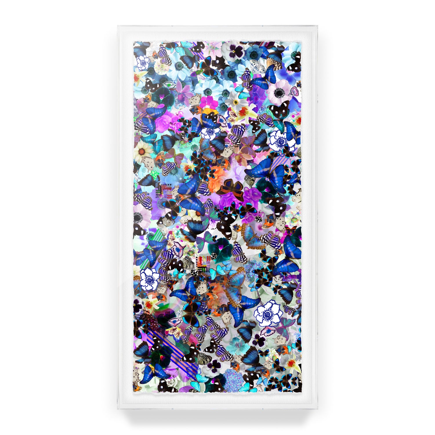 Butterfly Collage Framed Art Print