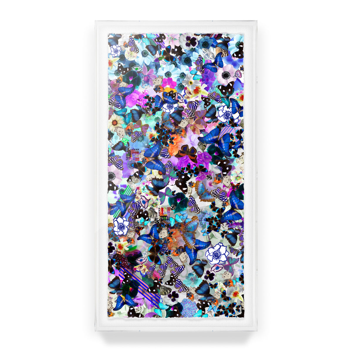 Butterfly Collage Framed Art Print