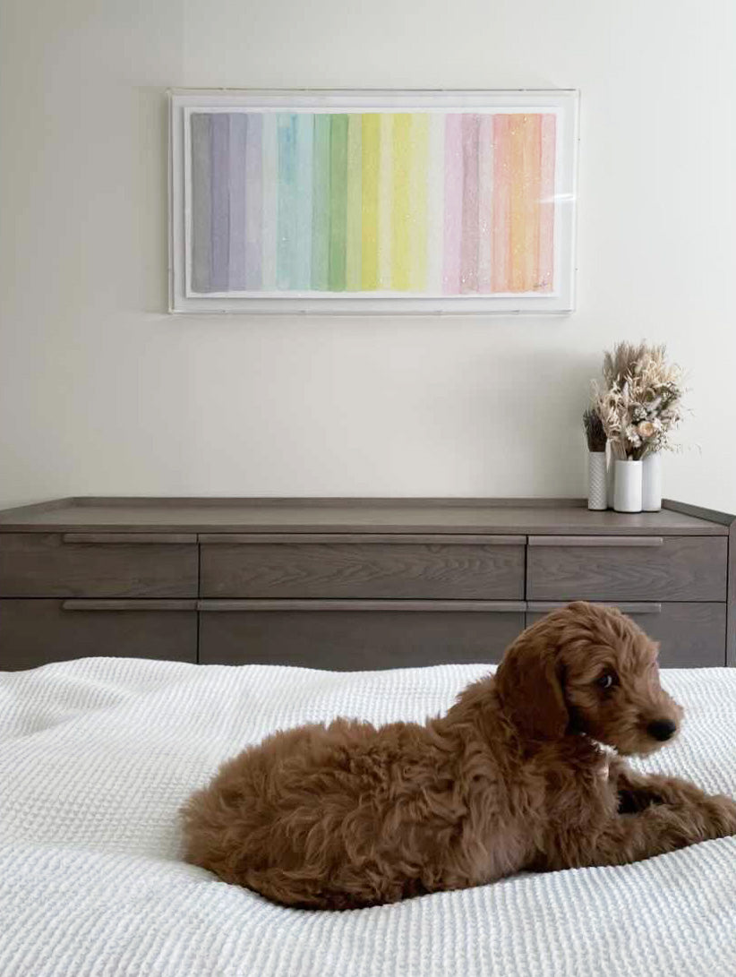 Chromatic Rainbow Embellished Print