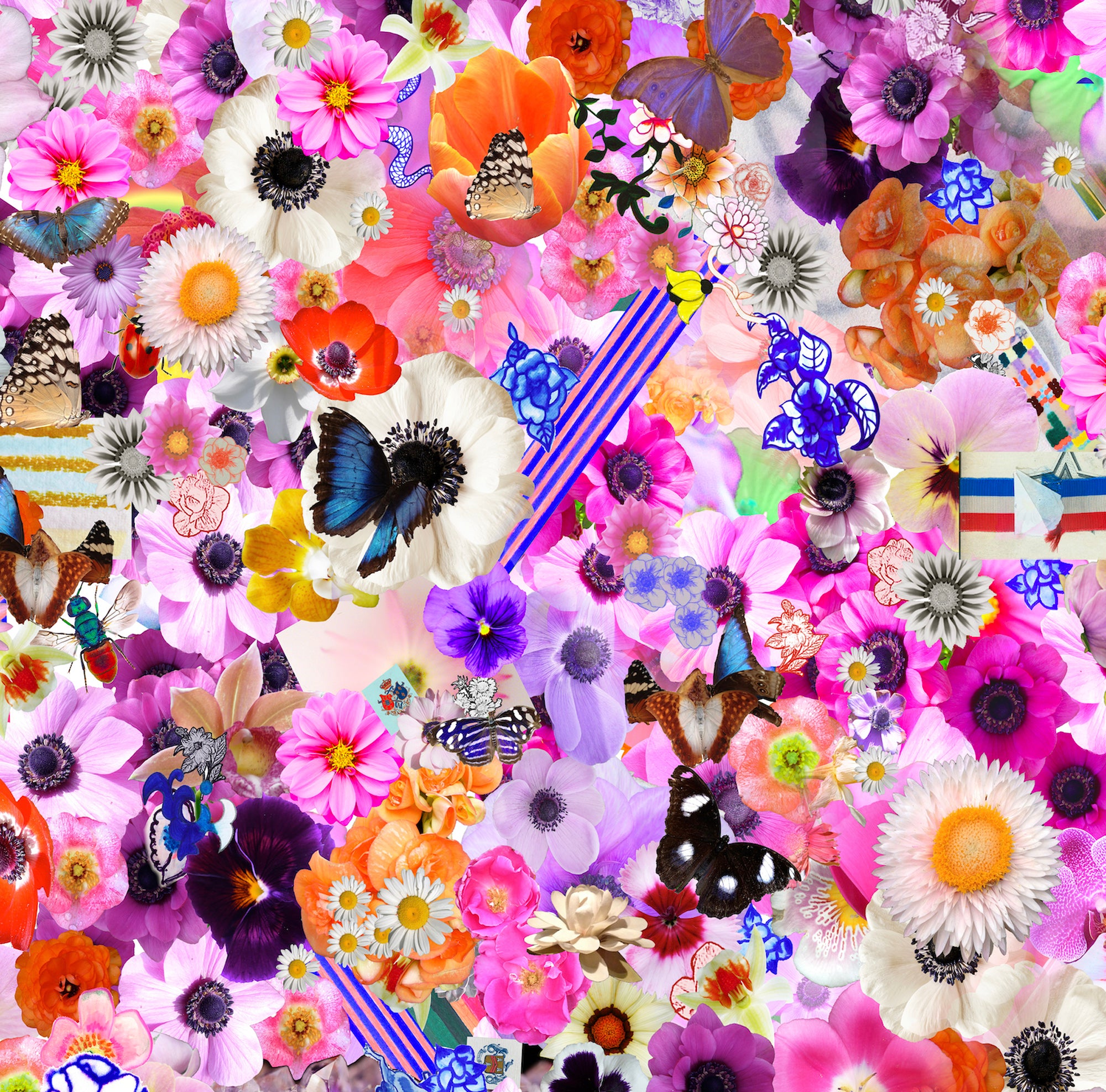 Flower Collage Framed Fine Art Print