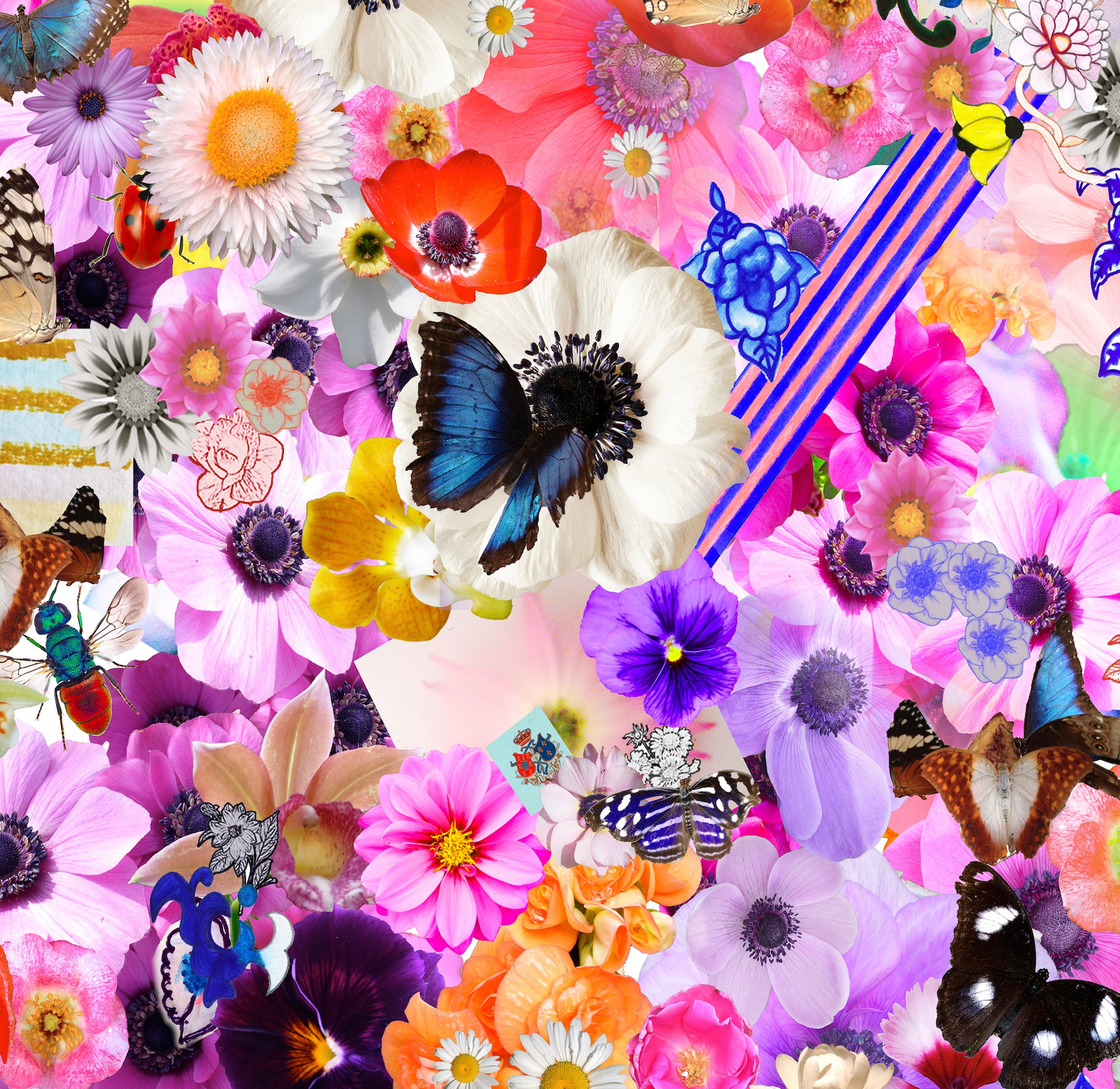 Flower Collage Framed Fine Art Print