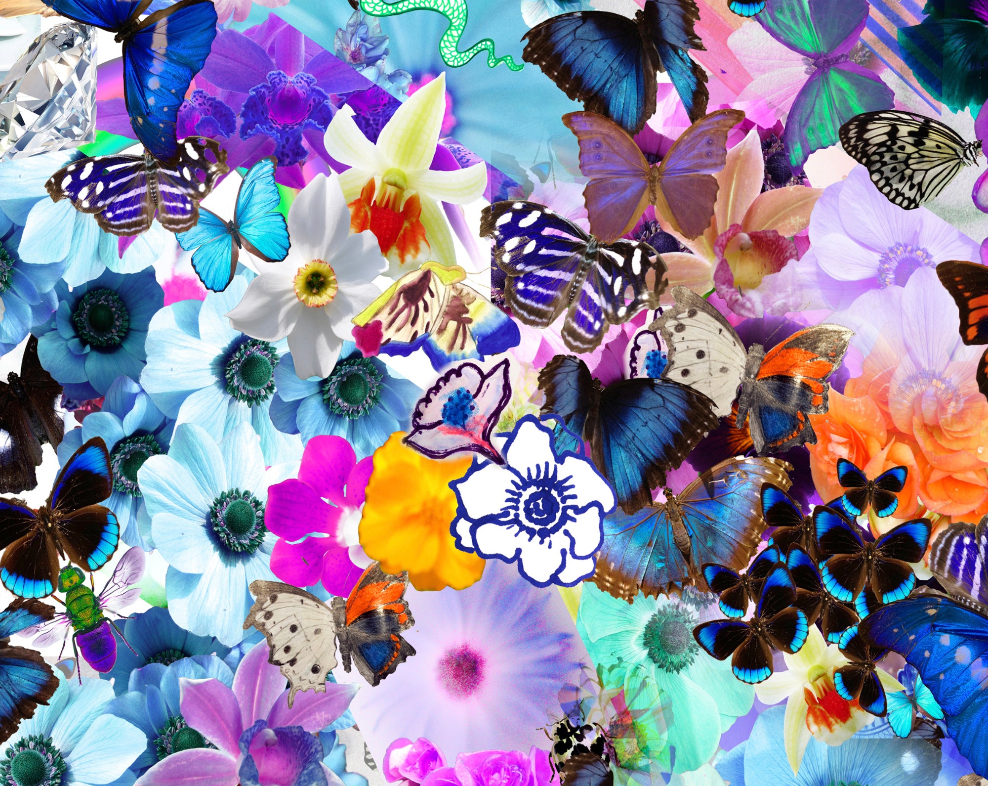 Butterfly Collage Framed Art Print