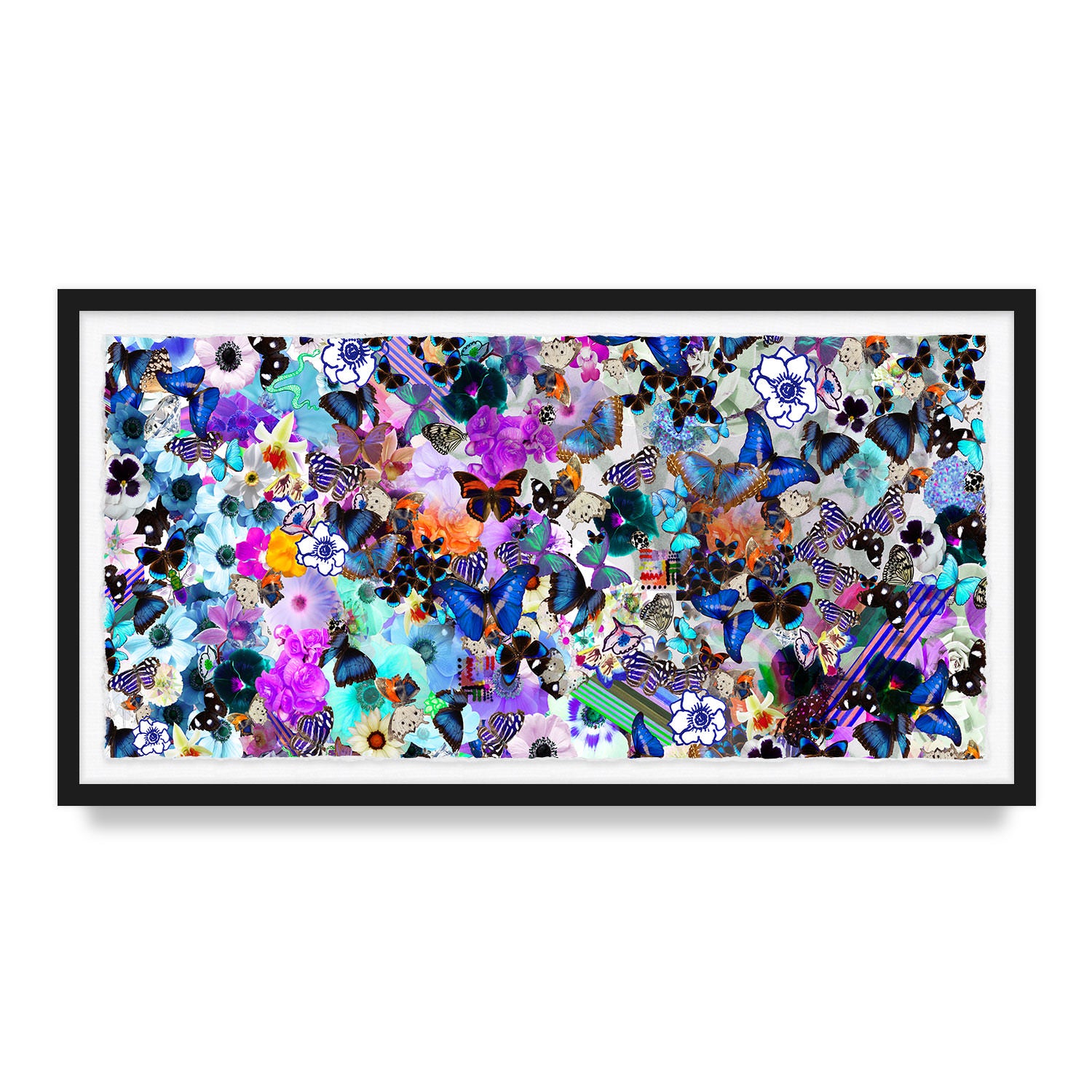 Butterfly Collage Framed Art Print
