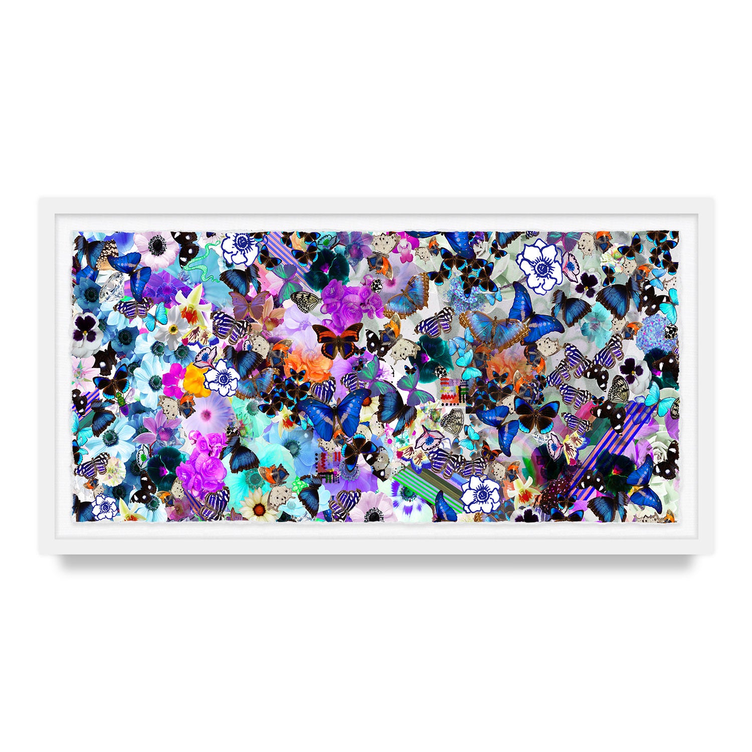 Butterfly Collage Framed Art Print